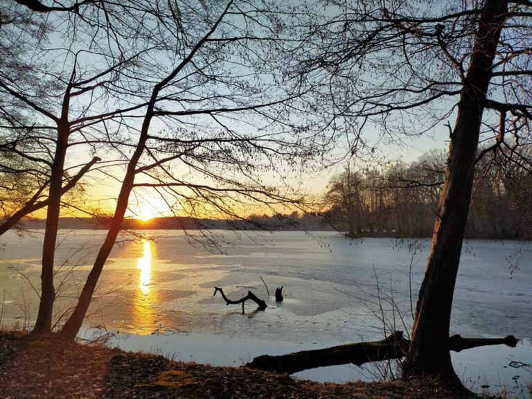 postanowienia noworoczne